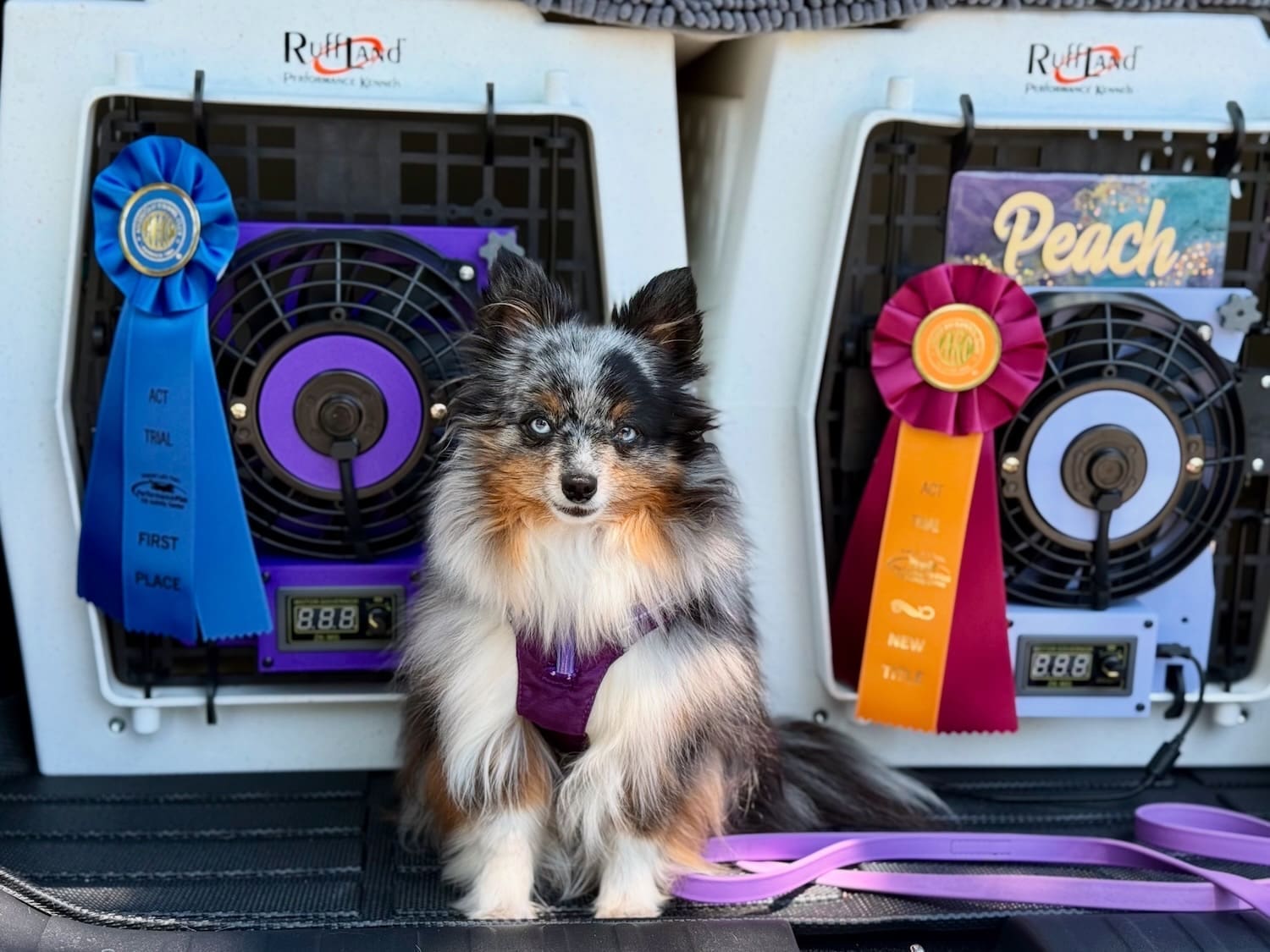 Truffle earns her ACT1 title