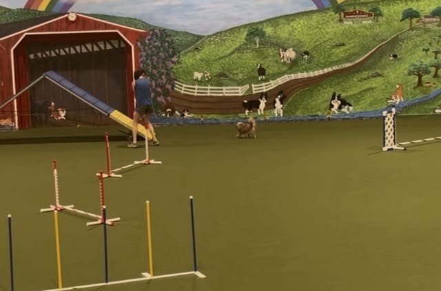 A person and a small dog practice agility inside a building with green flooring. Various agility obstacles are set up, and a mural of a farm scene with animals and hills covers the back wall.